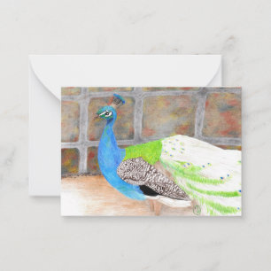 "Cocky" original art Card
