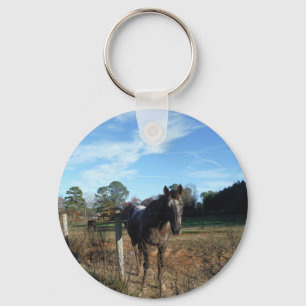 Coco and Cream brown horse Key Ring