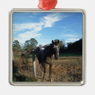 Coco and Cream brown horse Metal Tree Decoration