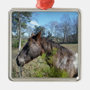 Coco and Cream Coloured Horse Metal Tree Decoration