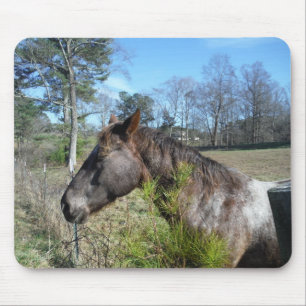 Coco and Cream Coloured Horse Mouse Pad