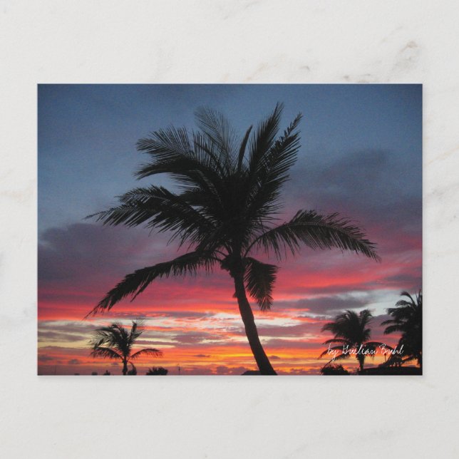 Coco, by Guilian Buhl Postcard (Front)