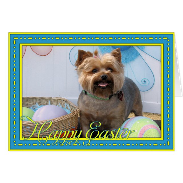 Coco Chanel - Yorkie -4 (Front Horizontal)