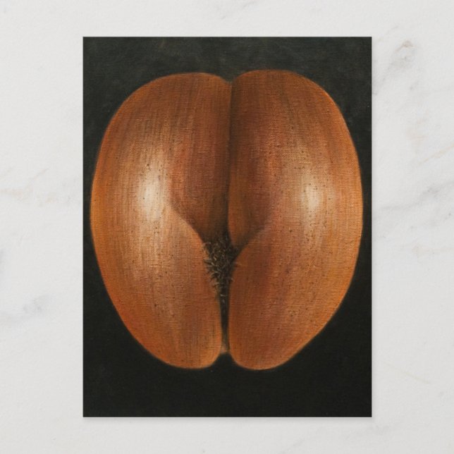 Coco de Mer 2010 Postcard (Front)