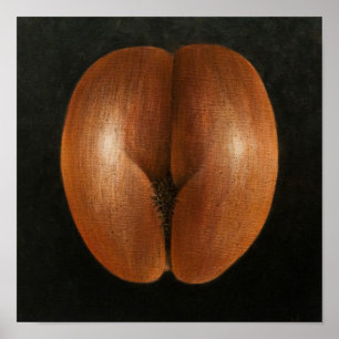 Coco de Mer 2010 Poster