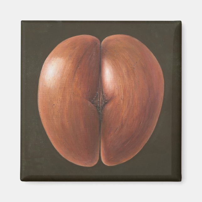 Coco de Mer Maldives 2012 Magnet (Front)