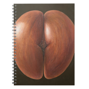 Coco de Mer Maldives 2012 Spiral Notebook