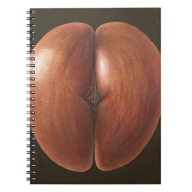 Coco de Mer Maldives 2012 Spiral Notebook (Front)