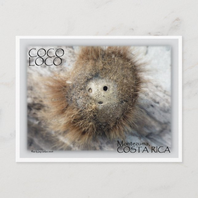 COCO LOCO NUT POSTCARD (Front)