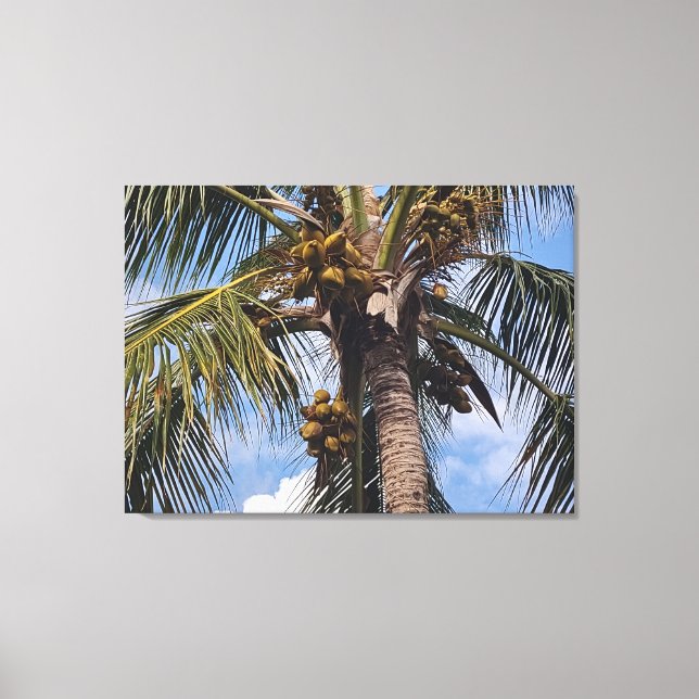 COCO PALM CANVAS PRINT (Front)