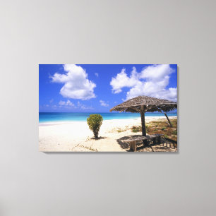 Coco Point Beach, Barbuda, Antigua Canvas Print