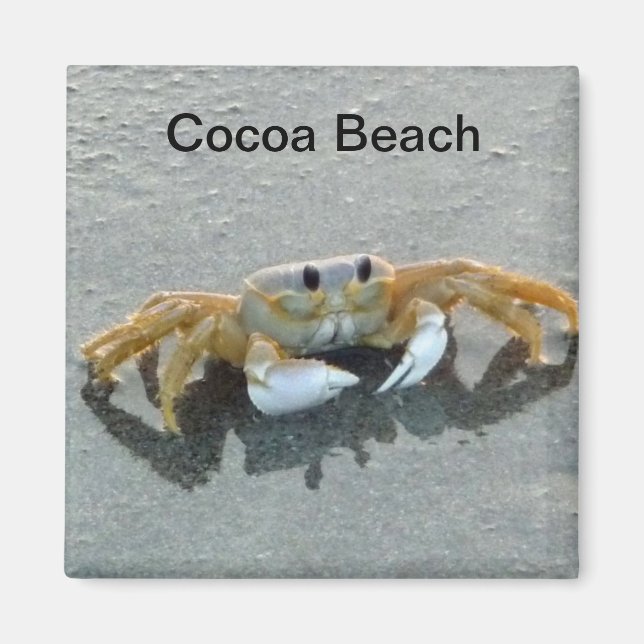 Cocoa Beach Crab Photo Magnet Florida (Front)