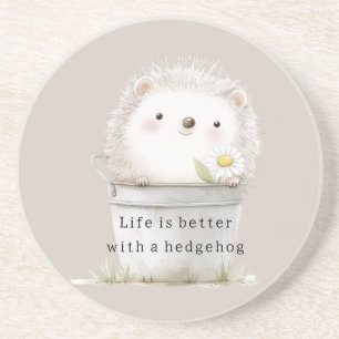 Cocoa Cream Hedgehog Daisy Flower Bucket   Coaster