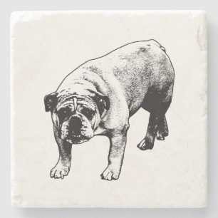 Cocoa Night Guard Stone Coaster