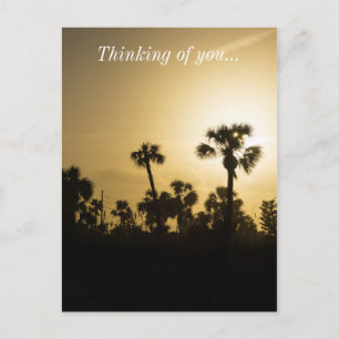 Cocoa Palm Silhouette Postcard