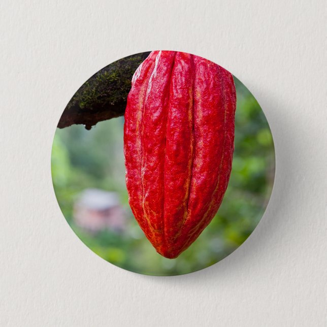 cocoa pod red 6 cm round badge (Front)