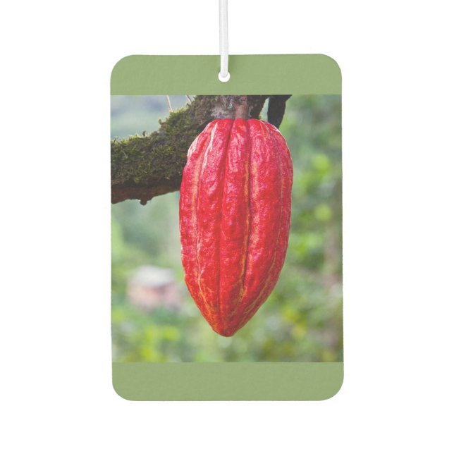 cocoa pod red car air freshener (Front)