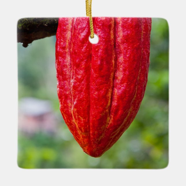 cocoa pod red ceramic tree decoration (Front)