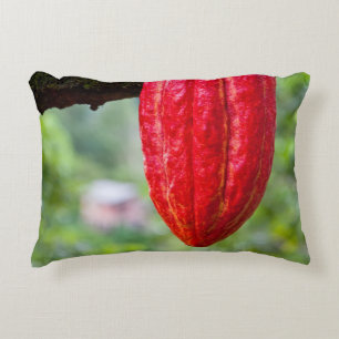 cocoa pod red decorative cushion