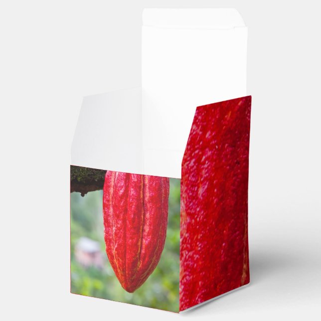 cocoa pod red favour box (Opened)