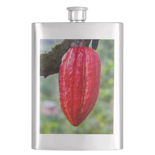 cocoa pod red hip flask (Front)