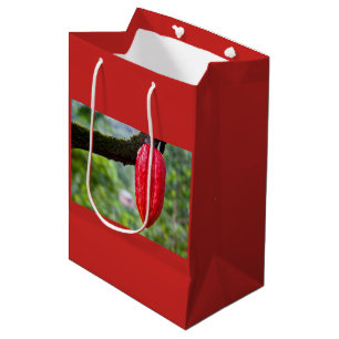 cocoa pod red medium gift bag