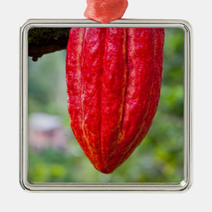 cocoa pod red metal tree decoration