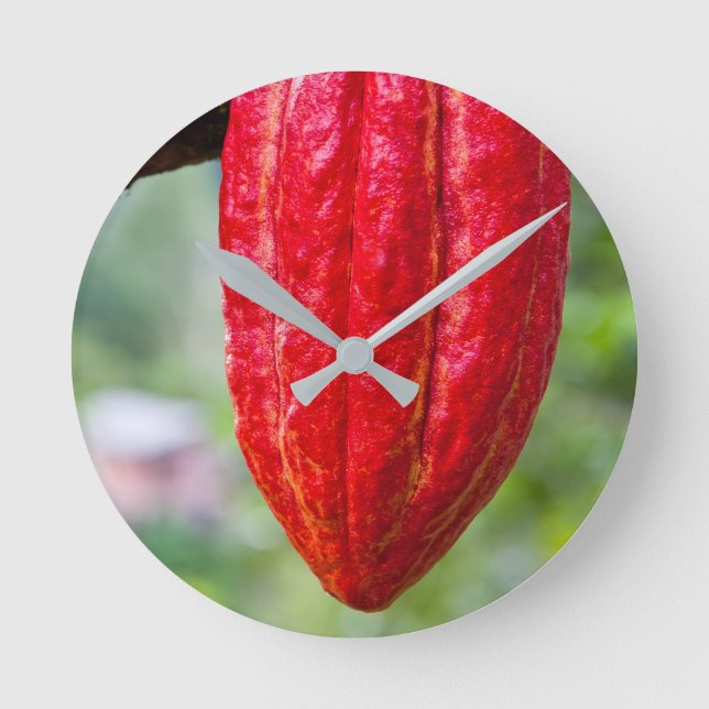 cocoa pod red round clock (Front)