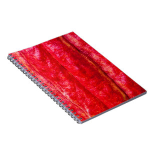 cocoa pod red spiral notebook