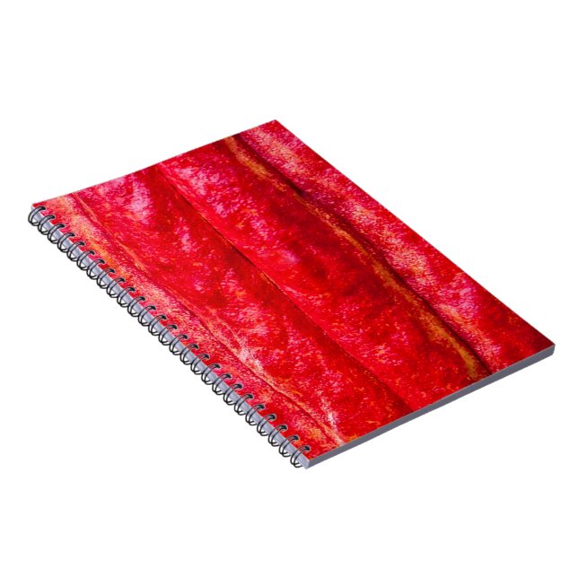 cocoa pod red spiral notebook (Right Side)