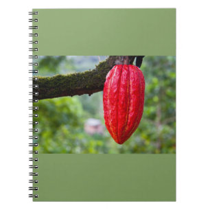 cocoa pod red spiral notebook