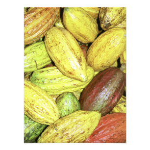 Cocoa pods photo print