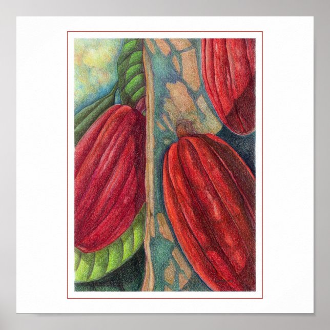 Cocoa Pods Poster (Front)