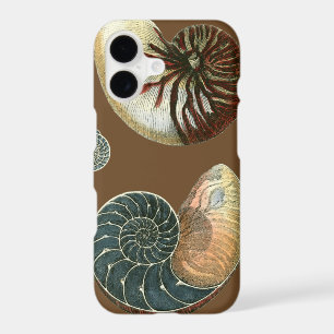 Cocoa Shell