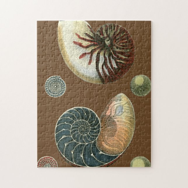Cocoa Shell Jigsaw Puzzle (Vertical)