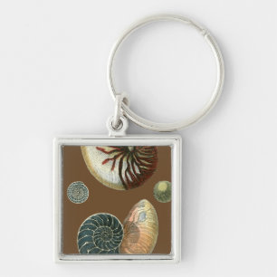 Cocoa Shell Key Ring