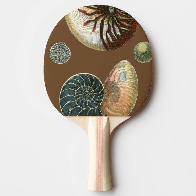 Cocoa Shell Ping Pong Paddle (Front)