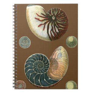 Cocoa Shell Spiral Notebook