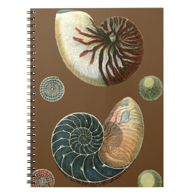 Cocoa Shell Spiral Notebook (Front)