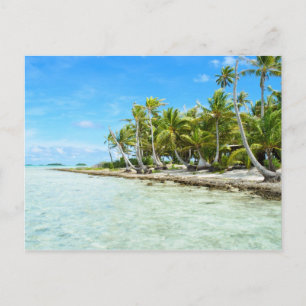Coconut beach postcard