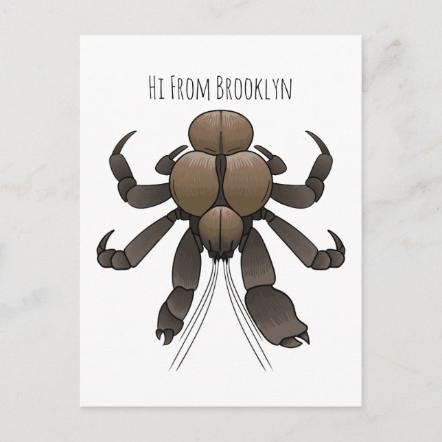 Coconut crab cartoon illustration postcard (Front)