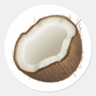 Coconut - Emoji Classic Round Sticker