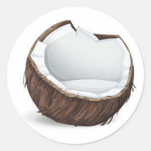 Coconut fruit sticker