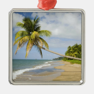 Coconut Grove Beach at Cades Bay, with St. 2 Metal Tree Decoration