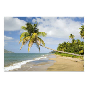 Coconut Grove Beach at Cades Bay, with St. 2 Photo Print