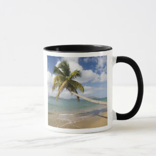 Coconut Grove Beach at Cades Bay, with St. Mug