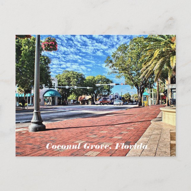Coconut Grove, Florida Postcard (Front)