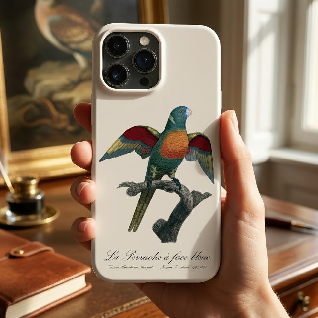 Coconut Lorikeet, Trichoglossus haematodus Case-Mate iPhone Case (Coconut Lorikeet, Trichoglossus haematodus. iPhone Case)
