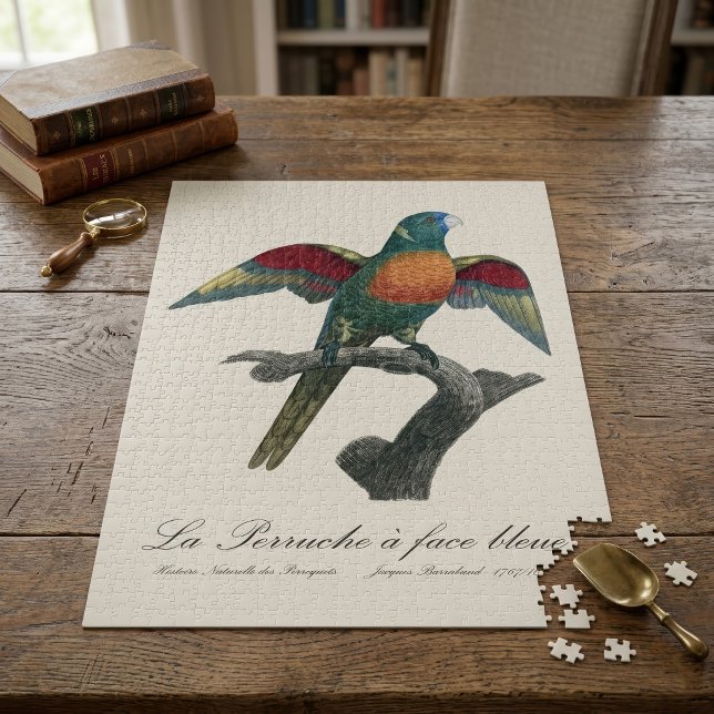 Coconut Lorikeet, Trichoglossus haematodus Jigsaw Puzzle (Coconut Lorikeet, Trichoglossus haematodus. Jigsaw Puzzle)