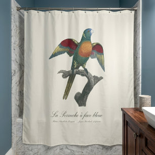 Coconut Lorikeet, Trichoglossus haematodus Shower Curtain